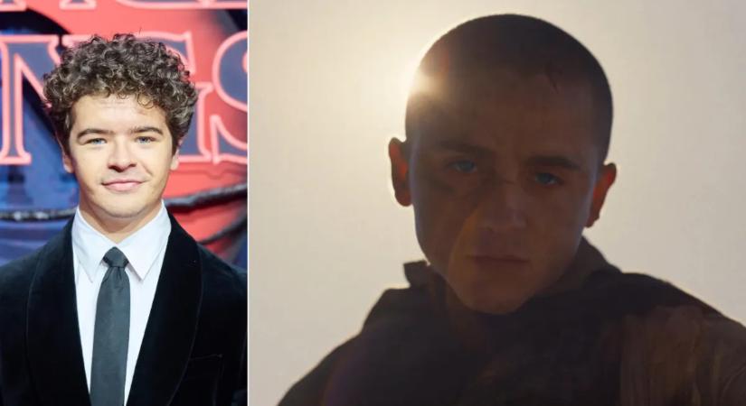 „Mi szeretjük a balettot és az operát!” – Gaten Matarazzo is odaszúrt Timothée Chalamet-nak