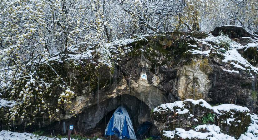 Extrém körülmények között éjszakázott egy szegedi fotós – az erdő állataival is szembenézett