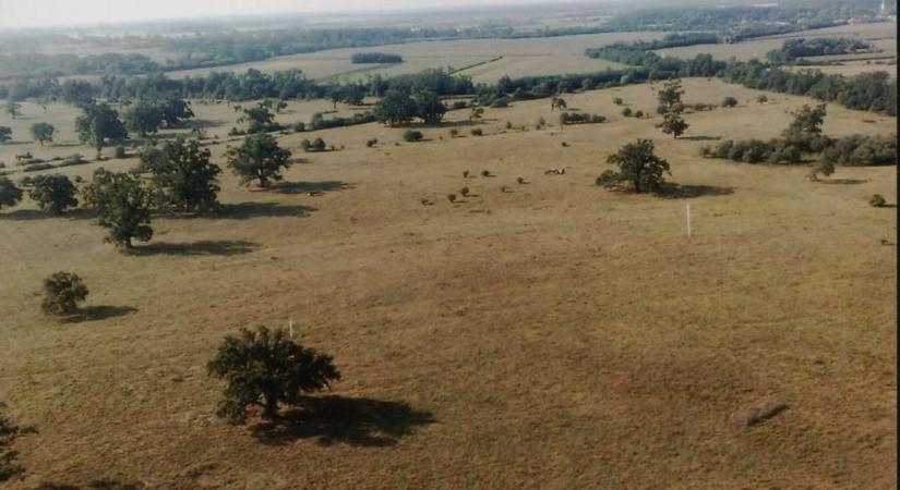 Brutális a helyzet Szabolcsban: teljes a bizonytalanság, megismétlődhet a rémálom