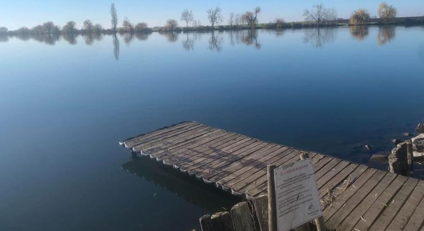 Emberméretű „szörnyhalat” fogtak ki Hajdú-Biharban, fotókon az eddig nem látott bestia!