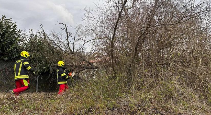 Holttestet húztak ki a Pinka folyóból