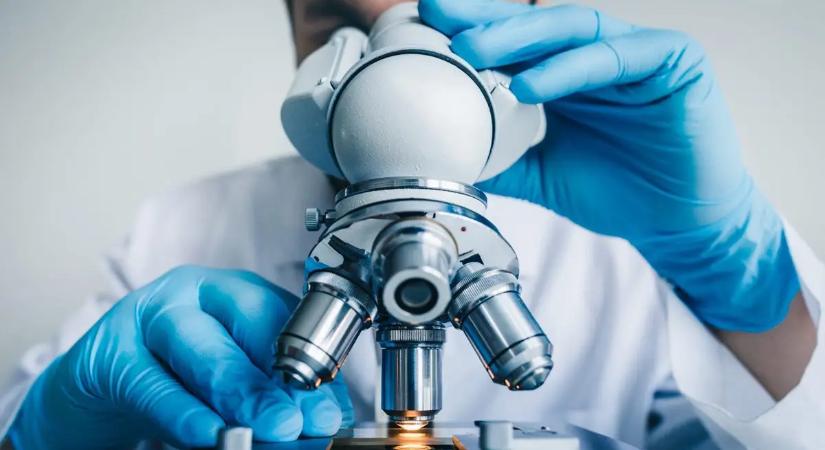 Életmódváltással is enyhíthetők az endometriózis tünetei egy kutatás szerint