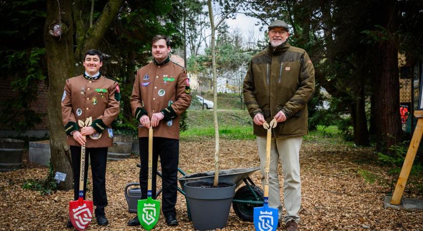 Harmincéves az Év Fája mozgalom: Ünnepi faültetés a Soproni Egyetemen
