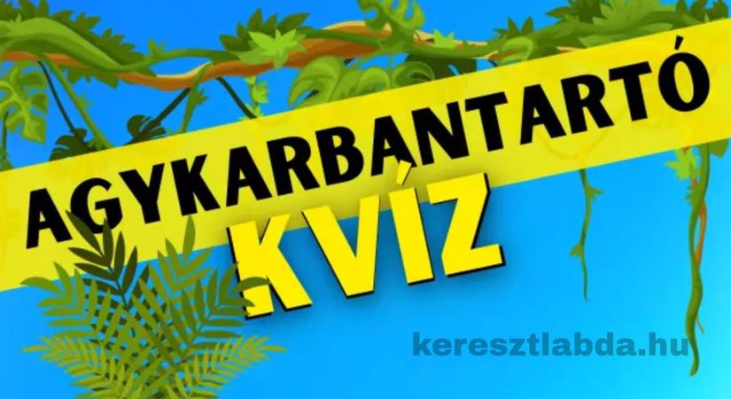 Napi agykarbantartó feladat: Észrevetted a békát a papagájok között? A legtöbben nem!