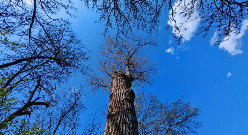 Felhők jönnek, de gyorsan tovább is állnak  videó