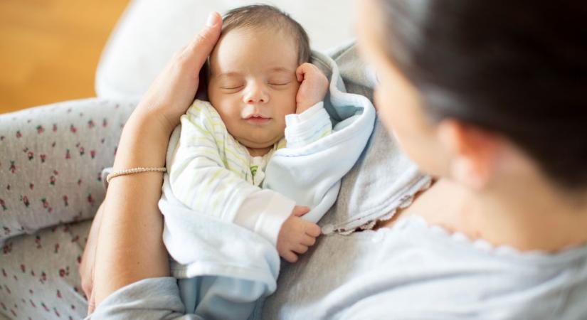 Milos, Stella és Boróka is megérkezett: 8 baba született az elmúlt napokban