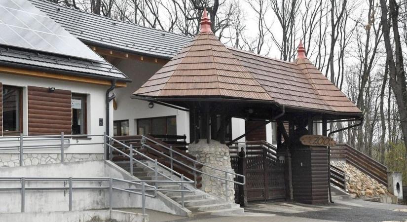 Gólyahír a kifutóban: Megérkezett a legkisebb „púpos”!