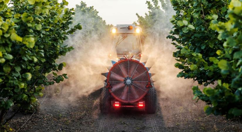 Több ezer tonna növényvédő szerrel próbájuk védeni a termést!