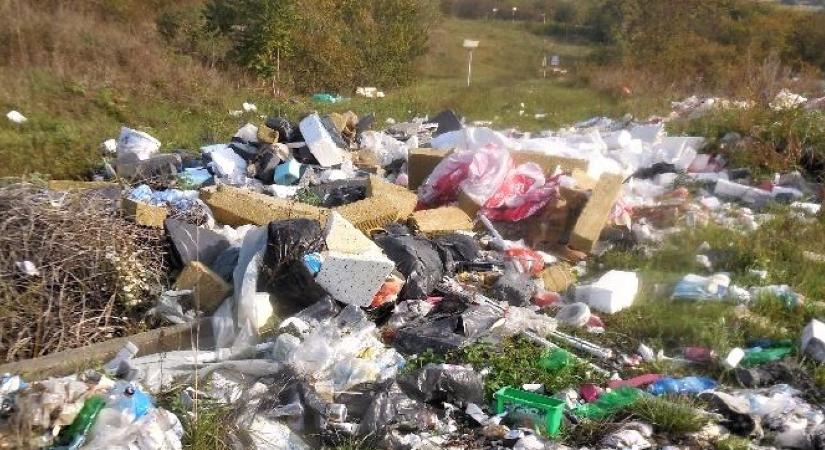 Az érdi városvezetés és civil szervezetek összefogva küzdenek az illegális hulladék ellen