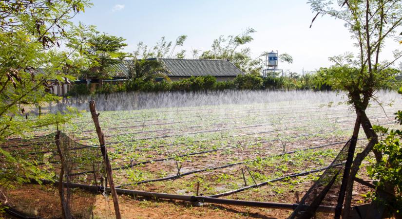 Titokzatos csőrendszert ástak a magyar föld alá: őrület, mire képes