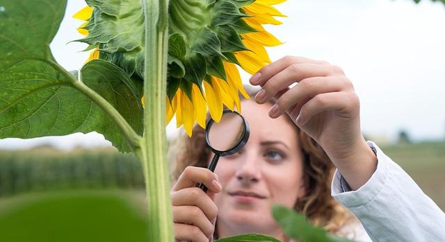 Sikeresen lezárult az ENAG Projekt a magyar-szerb határtérségben