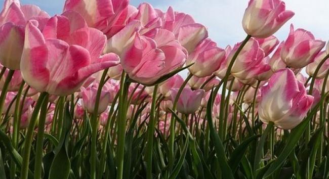 Áprilisi évfordulók, ünnepek, időjárási megfigyelések és babonák