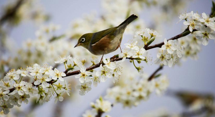 Ma egészen más időre számíthatunk, mint az elmúlt napokban