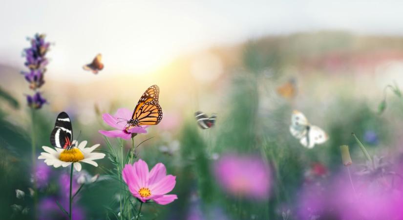 Időjárás 2026. április 1.: A szél még kitart, de már melegszik az idő