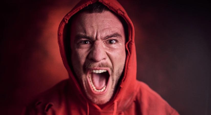 Molnár Áron forradalma: „Pontosan tudom, mikor nem foglalkoztam utoljára közügyekkel”