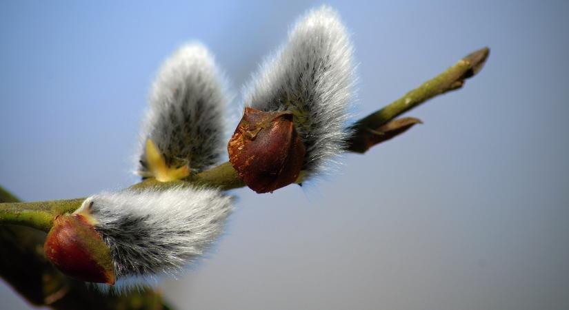 3 napos előrejelzés: Csak nagypéntekig kell valahogy kibírni