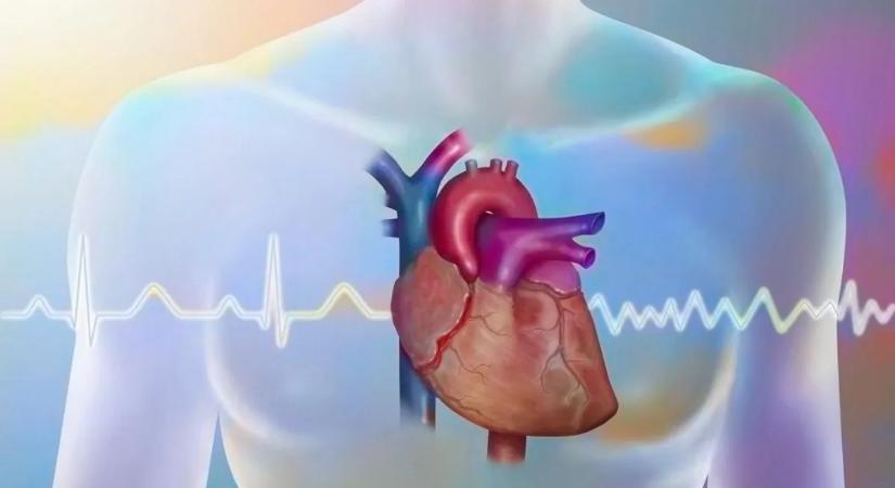 Nem kell műtét? Egyetlen injekció segítheti a szív gyógyulását