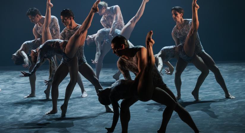 Az élni vágyó halott