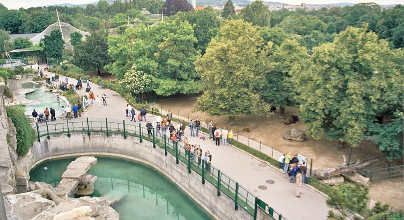 Valaki éjjellátó készülékkel a fején fegyverével lelőtt egy állatot a bécsi állatkertben az éjszaka közepén