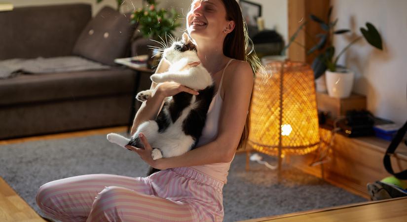 Így tesznek minket boldogabbá macskáink