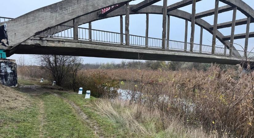 Ég az internet: rémisztő lényt fotózott egy horgász a Keletinél – Fotóval!