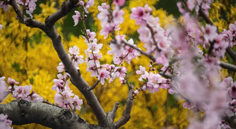 Már látszik a fény az alagút végén: brutális fordulat jön az időjárásban
