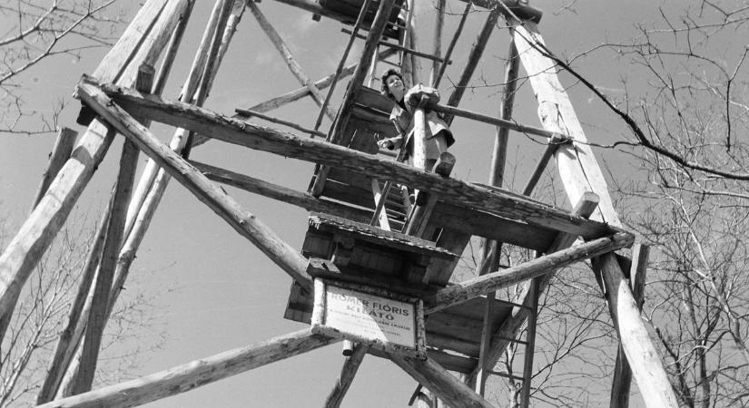 Volt egyszer egy bakonyi kilátó egy legendás hegyen, ha nem emlékszik rá, megnézheti retró fotón