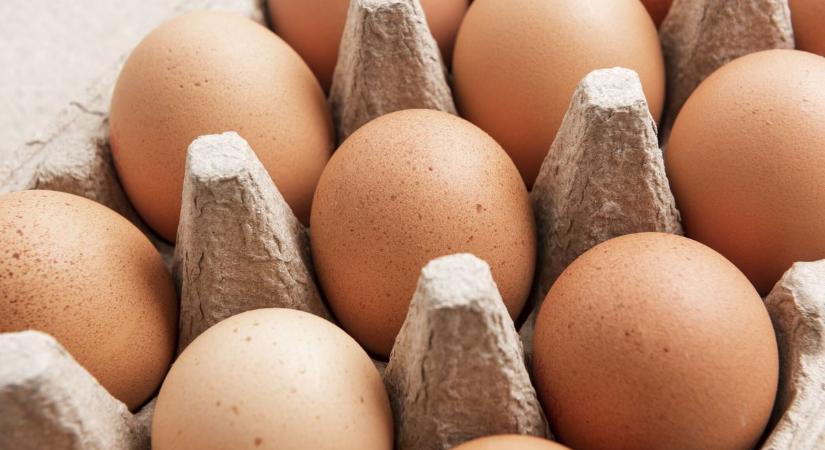 Micsoda népség! Nyíregyházán tömegével viszik az akciós tojást!