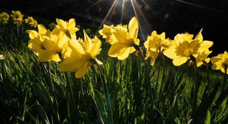 Kiderül az ég szerdán, de nem mindenhol lesz nyugodt az idő