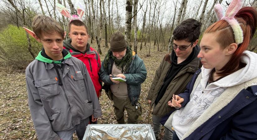 Különleges nyulak lepték el az ásotthalmi erdőt