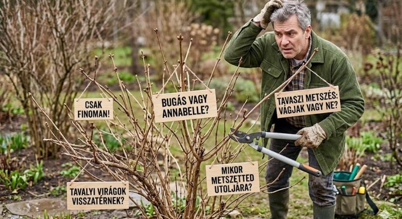 Bugás vagy Annabelle? A nagy hortenzia-metszés kisokos, hogy ne pont a virágaidtól búcsúzz el