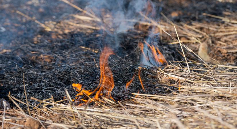 Döntöttek a tilalomról itthon: ez vár a magyarokra április 1-től