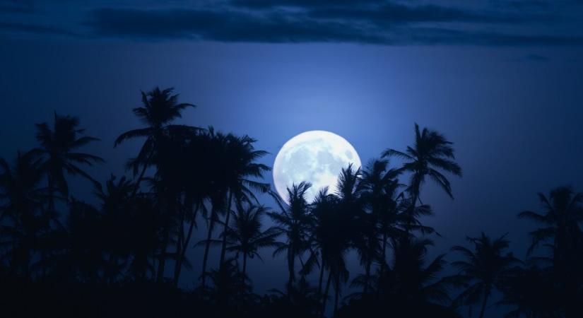 Rekordokat dönt ez a drámai sci-fi sorozat – már készül az új évad