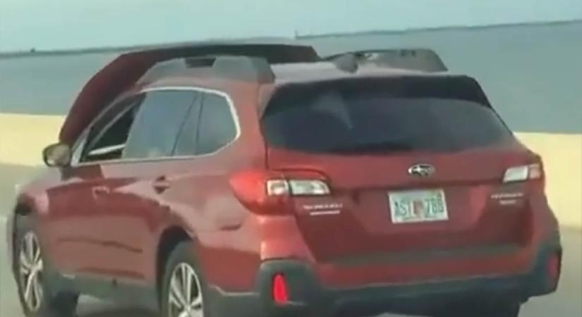 Ilyen egy autós rémálom felcsapódó motorháztetővel