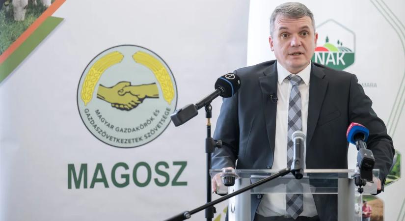 Minden eszközt bevet a Tisza Párt az igazság elrejtésére, de mindhiába, most is buktak egy nagyot