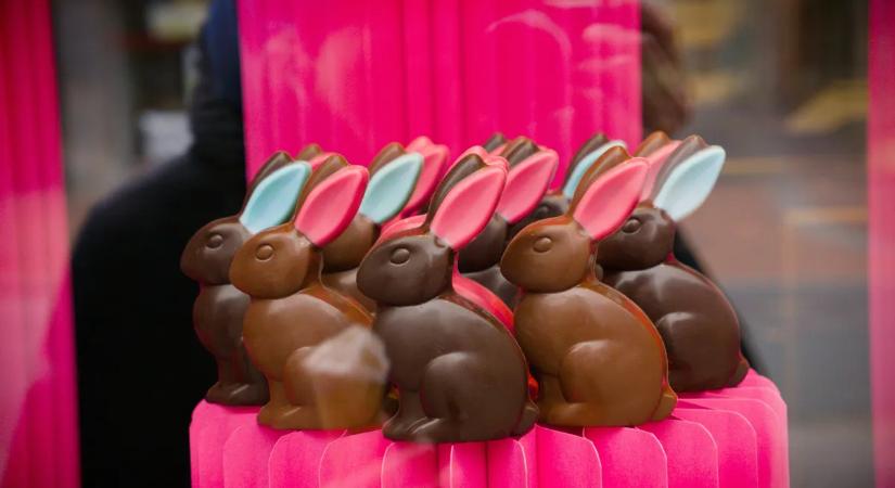 Húsvéti csokinyuszi 46 ezerért? Kalapács nélkül esélytelen