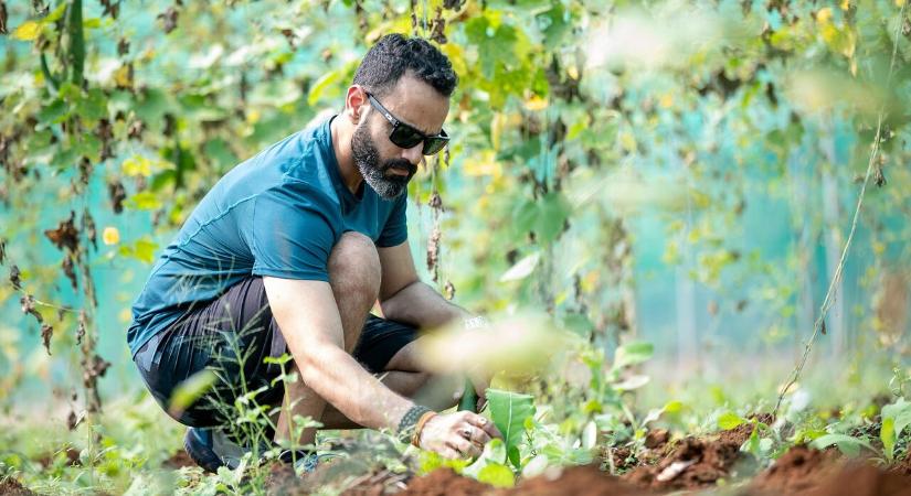 Lehetőségek tárháza: ezekkel a szakmákkal mentheted meg a bolygót