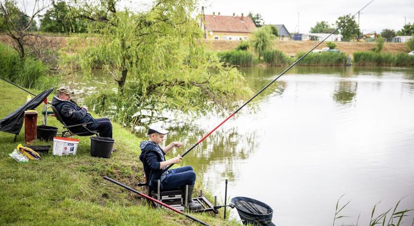 15 tiltott faj: friss lista a halakról, amikért súlyos bírság jár a horgászoknak!