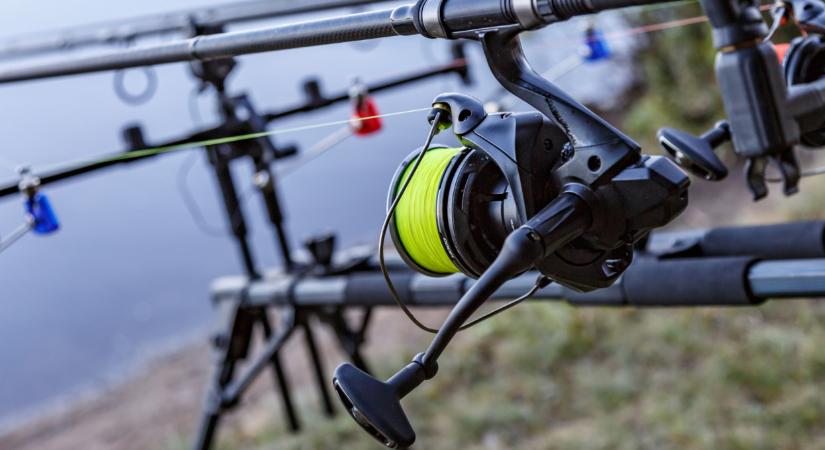 Gigantikus vízi szörnyet akasztott egy magyar horgász: majdnem 26 kilós csodapontyot emelt ki a Balatonból  Fotó