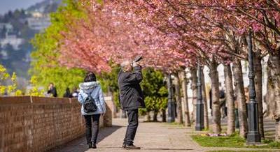 Hétvégi programajánló: Bartók Tavasz, Fehér László-kiállítás, SUP-túra