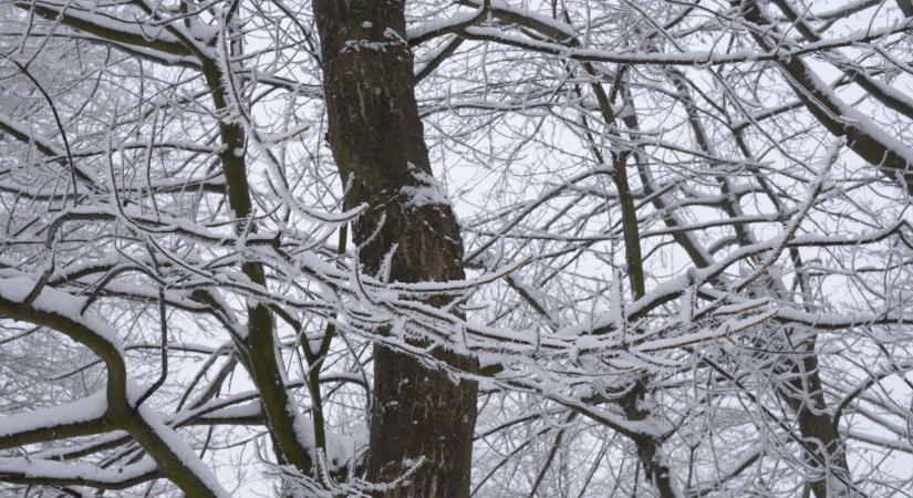 A Kékestetőn még tart a tél: makacsul kitart a hó, miközben máshol már tavasz van