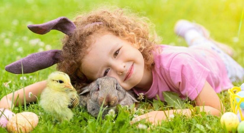 Húsvéti ajándék, amiből pár nap alatt probléma lehet  videó