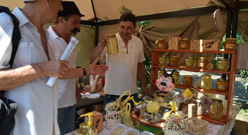 Korán indult a méhészszezon - Bizakodó méhészek