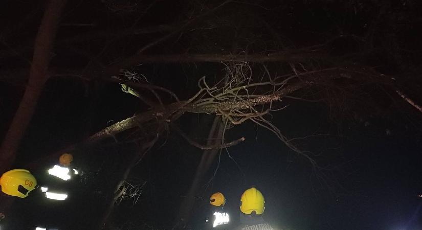 Megtépázott fák, megrongált épületetek - Ismét komoly károkat okoz a viharos szél Vasban