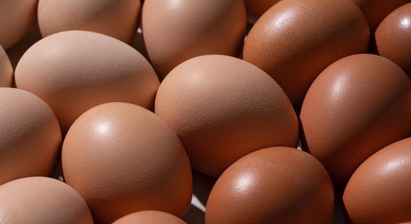 Súlyos gond van rengeteg tojással: undorító, amit a héjukon találtak