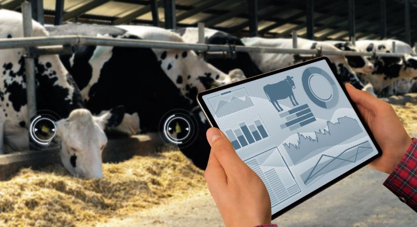Adatvezérelt etetés: új korszakot nyit a precíziós takarmányozás