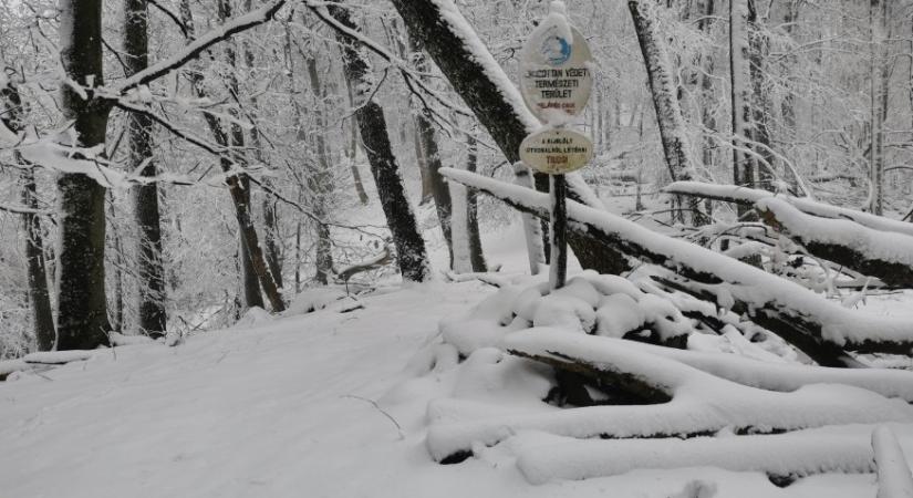 Nem áprilisi tréfa: Vastag hó borította be Börzsönyt, képeken a gyönyörű táj