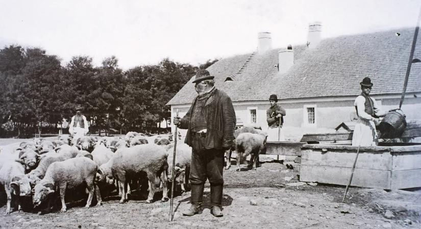 Lehetetlen kvíz: talán már a nagyszüleink sem ismerik ezeket a szavakat