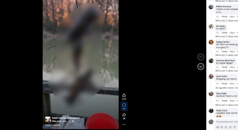 Megdöbbentő fogást videózott le egy horgász a Keleti-főcsatornánál