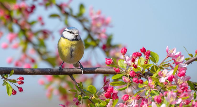 Őrületes időjárás vár ránk húsvétkor: erről mindenkinek tudnia kell